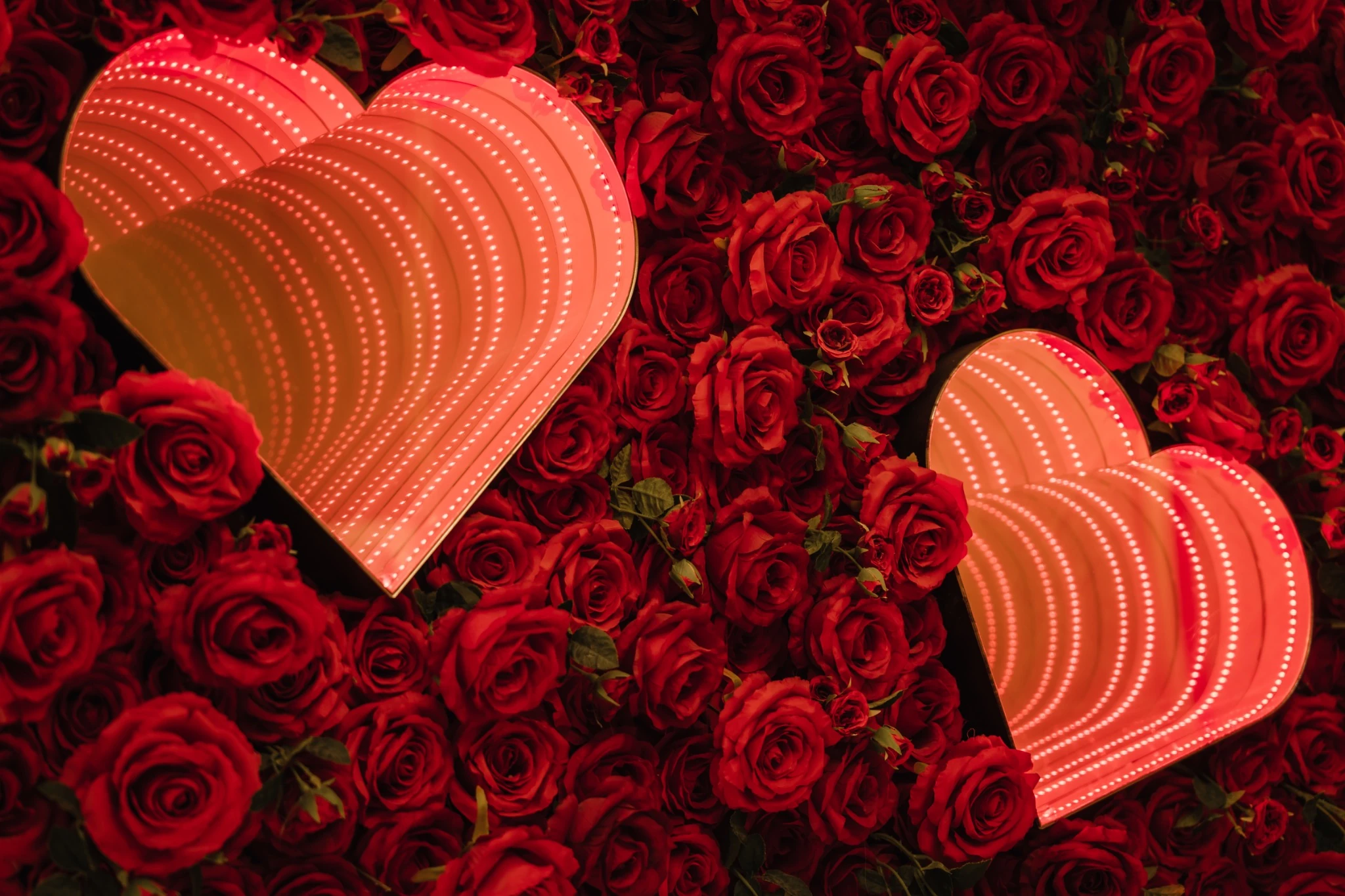 Pearl’s red rose wall with illuminated hearts